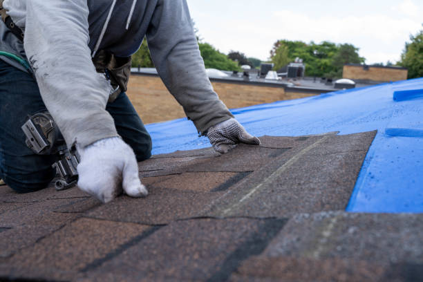 Best Roof Gutter Cleaning  in Malvern, AR